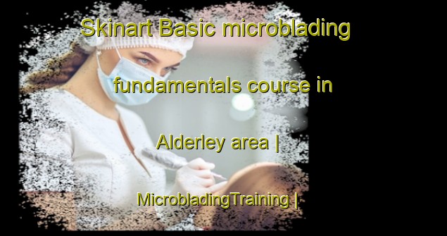 Skinart Basic microblading fundamentals course in Alderley area | MicrobladingTraining | MicrobladingClasses | SkinartTraining-South Africa